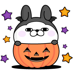 Rabbit100% Halloween