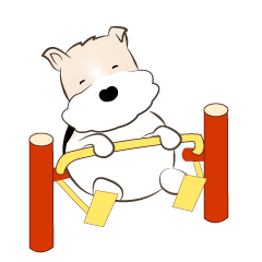 恰恰波波動滋動