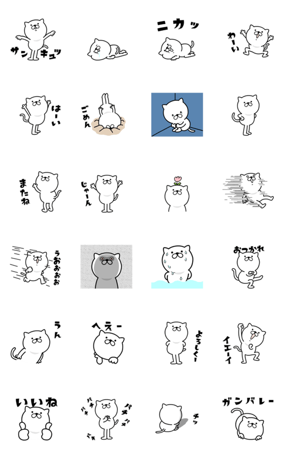 動く つかいやすいねこです 1 Lineクリエイターズスタンプ Stamplist