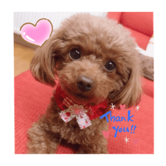 miyuu_20191002164815