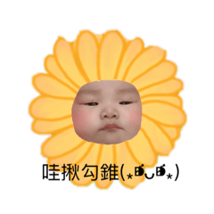 菲菲呀