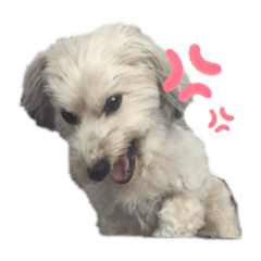 __cocoa__