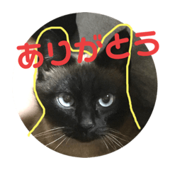 ann_20191002183844