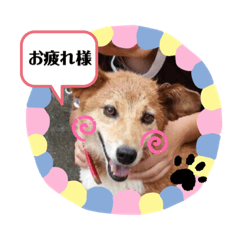 Hana_20191002211644