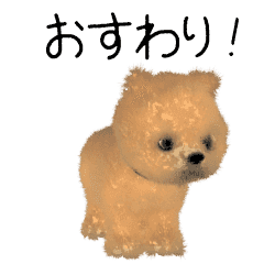 Pomeranian CG puppy brown ver.