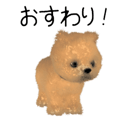Pomeranian CG puppy brown ver.