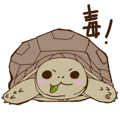Tortoise fan