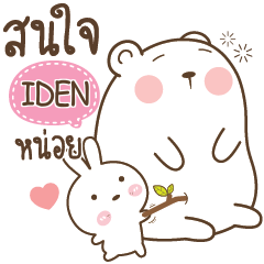 IDEN Little Rabbit bully Bear e