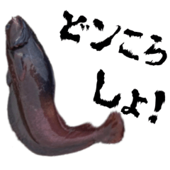 KIMOKAWAII Fish Stamp