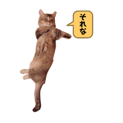 maron_20191002