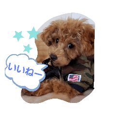 ARISA_20191002002231