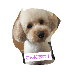 jack_20191002220553