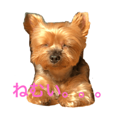 Hana_20191002230947