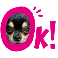 nanami_20191002232911