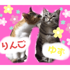 nene_20191003013525