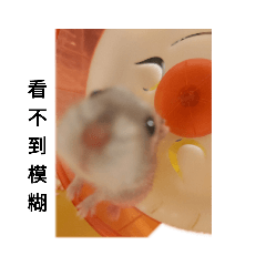玉子燒