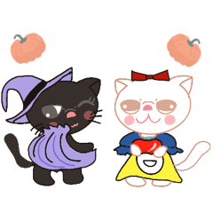 White cat and Black cat [Fall]
