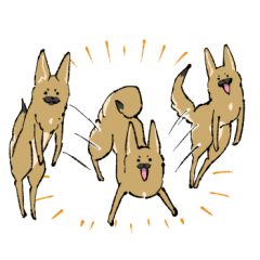 KUROHANA-mixed breed dog-