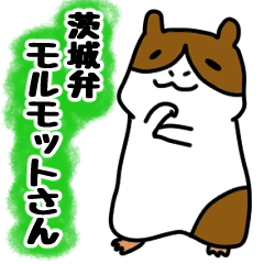 A guinea pig(Speaking Ibaraki dialect)