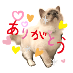moko_20191003004907