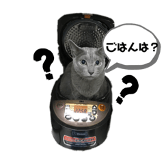 riku_20191002