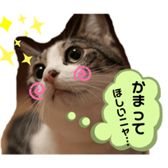 NamiA
