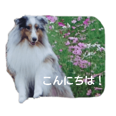 rei_20191003153808