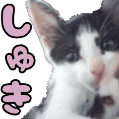 Hachiware Kitten Sticker 2nd