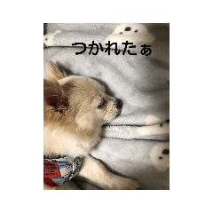 kao_20191003164332