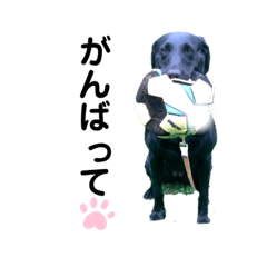 bb_20191003181929