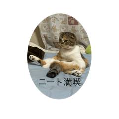 Cocoa_20191003192005