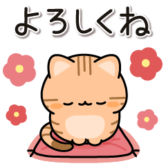 Answer red tabby cat