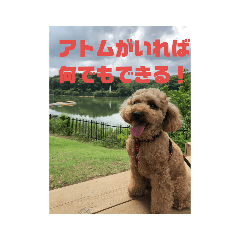 rii_20191003223057
