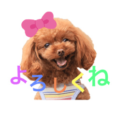 SUMIRE_20191003215952