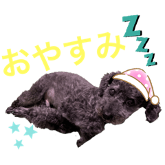 mayumi_20191003205801