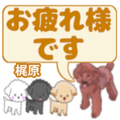 Kajihara's. letters toy poodle