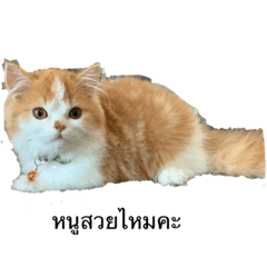 Tetsu_20191003221809