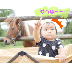 ringo_20191004012026