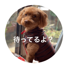family_20191004112347