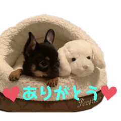 ACHI_20191004112049