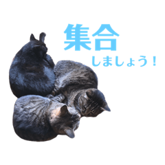 jun_20191004114746