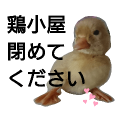 miko_20191004134642