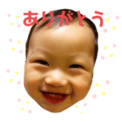 midori_20191004125657
