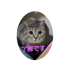 hinata_20191004161808