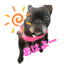 mina_20191004171953