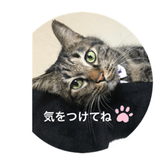 andy_20191004193030