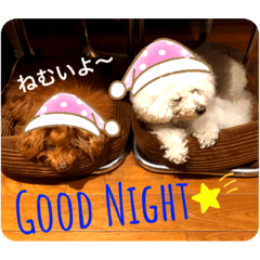 MOKO and MARU