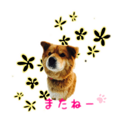 boo_20191004214213
