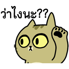 【泰文】Sinko the Cat: Speakin' Taiwanese