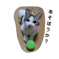 nekomimi_20191004212132